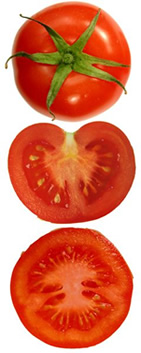 TOMATO TOMATO DE LUCE-トマト・トマト・デ・ルーチェ-