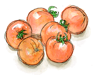 TOMATO TOMATO de LUCE　池袋